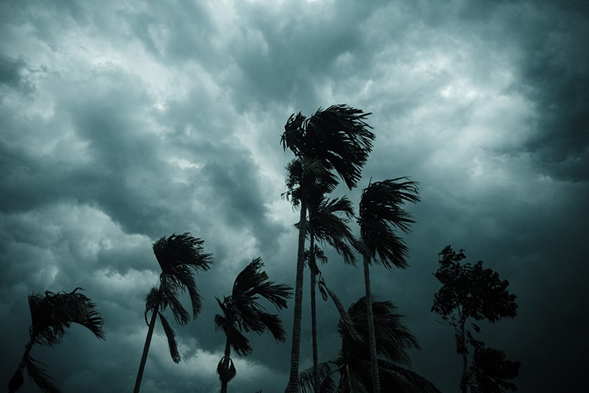 Hurricane Season Essentials - Important Tips & Guidelines - Hurley's