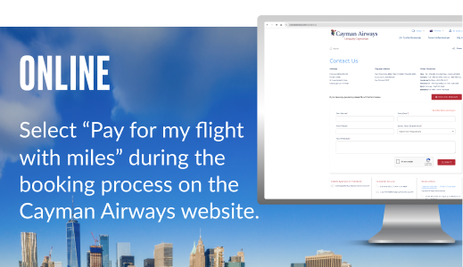 sir-turtle-rewards-mobile-Online