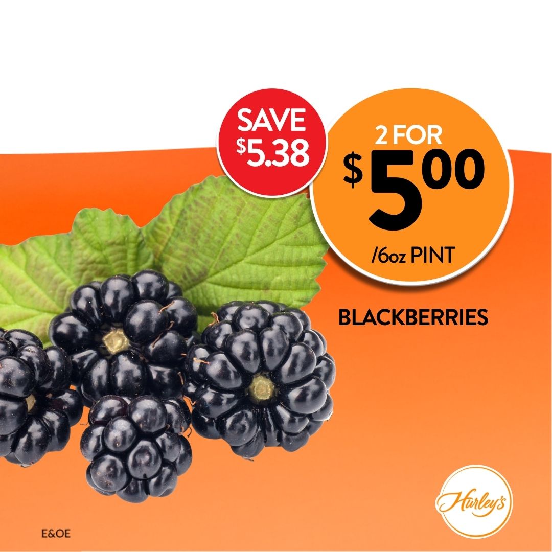 Fresh_Friday_20260130_0009